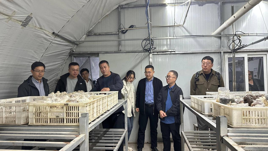 68f0c1afcce89.png 图片2.png